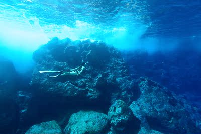 穿去潜水，美炸裂