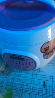 体验浩特电饭煲怎么样,浩特好不好呢