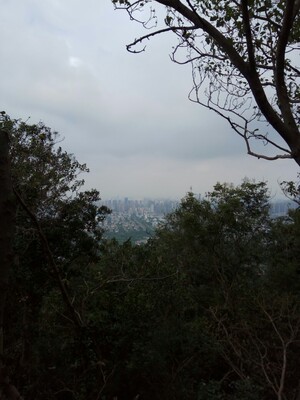 尺码刚好合适！穿上舒适感非常好，很满意的一次购物，就不上实物图了!   你懂的！！！！价格也不贵！