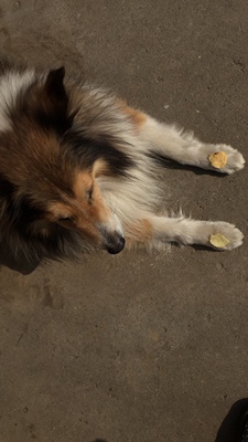 挺好的啊 特别薄 还挺舒服的啊啊啊啊啊啊啊啊啊啊啊啊啊啊啊啊啊啊啊啊啊啊啊啊 还会再次来购买的啊啊啊啊啊啊啊啊啊啊啊啊啊啊啊啊啊啊啊啊啊啊啊啊啊啊啊啊啊啊