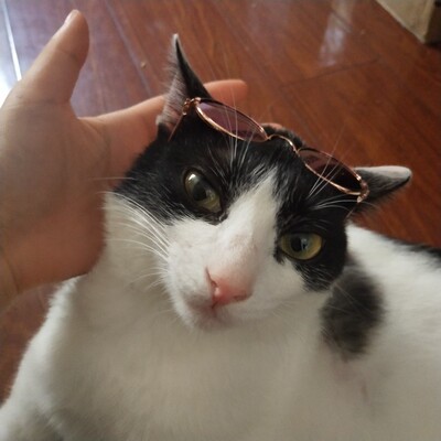 此用户没有填写评价。