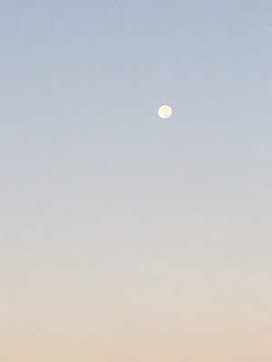 我在农村，没网没WIFI，为了赞你这条发文，我走了几十公里的山路来到镇上，脚上磨起了许多豆大的水泡，鞋子也开胶了。本来想把家里的苞谷卖掉几十斤，在镇上坐车到城里的网吧赞你这条说说的，无奈天公不作美，今年收成不好，种的粮食只够家里吃，所以我只好在镇上的砖窑里打工，挣足路费。从砖窑搬一块砖到拖拉机上只给一分钱，为了100块的车费，我搬了一万块砖，十个手指头都磨出了鲜血，为了省下车费，我没贴云南白药创可贴，让血液自然凝结。之后拿到搬砖钱，我坐上了从镇上开往城里的汽车。来到网吧，一摸兜里，没有三块钱的上网费了，少搬了300块砖。我只好在大街上四处奔走，守望着那些喝矿泉水的人们，当他们将矿泉水瓶从手中抛出的那一刹那，我就像守门员扑球般扑去了，生怕矿泉水瓶被别人抢去了，我赞你的说说又晚上那么一秒钟，你理解我迫不及待赞你这条说说的心情么？历尽千辛万苦，我终于收集到60个珍贵的矿泉水瓶子，拿到废品收购站换了3块钱的网费，来到网吧，终于赞上了你这条文章。