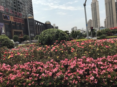 以前在淘宝天猫上买东西,我都是默认系统自动好评的,或者是直接五星好评确认,啥也不写,现在才知道淘宝评价可以涨淘气值,才知道评价的重要性,感觉自己失去了好几十个亿,没错,评价80字以上是可以获得50积分的,好了,字数凑够了,非常感谢大家的观看,东西很好,很优惠! 以前在淘宝天猫上买东西,我都是默认系统自动好评的,或者是直接五星好评确认,啥也不写,现在才知道淘宝评价可以涨淘气值,才知道评价的重要性,感觉自己失去了好几十个亿,没错,评价80字以上是可以获得50积分的,好了,字数凑够了,非常感谢大家的观看,东西很好,很优惠!