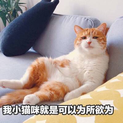 这是一个好评模板，不要看了下面都是废话。因为本仙女很懒不想每个宝贝都写好评所以才模仿网友的好评模板，但是这个宝贝不管是质量还是款式都是本仙女喜欢的如果不喜欢本仙女收到会很生气然后这个模板就会变成各种喋喋不体的吐槽，自然不会撒下这个好评给各位淘友一个参考。本宝贝还是极好的，来自一位懒省事的只爱购物不爱写评论只想换积分的仙女