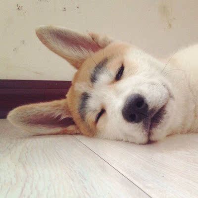 质量很好，比起都市丽人来说，实惠质量还好，不会给人一种很廉价的感觉，除了商标