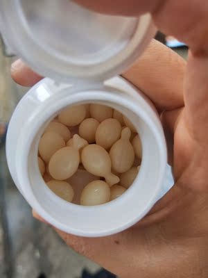 宝宝八个月体检，医生说有些缺钙，我自己也感觉宝宝晚上睡觉有些不踏实，牙也长的慢，选了好久，对比了好多牌子，最后才选定这款产品，也有别家店卖这款产品，还要便宜一些，不过想着是给宝宝吃的，不敢随便在别的地方买，比较相信天猫直营，当然也希望不要让我失望，买回来就给宝宝吃了，还好宝宝不排斥这个味道，如果吃着还不错，会继续让宝宝吃下去