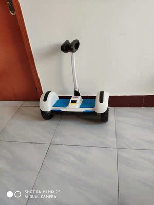 阿尔郎 智能电动自行平衡车双轮体感车两轮成人代步车思维车儿童