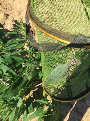 目前看来【反馈】霸将鱼竿怎么样，通过三个月使用看真相