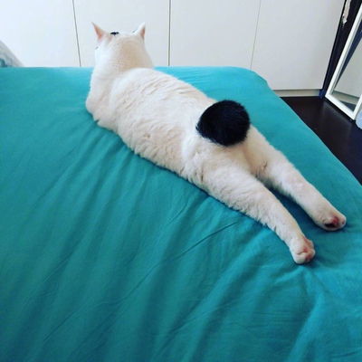 还可以 就是档档那里多一块布好奇怪