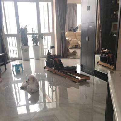 目前看来鲸锐水阻划船机怎么样,是哪里的牌子?跟莫比什么关系?