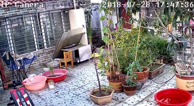 体验龙视安摄像头怎么样，真相如何,看过才知