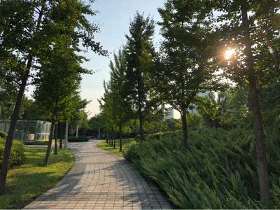 好穿 挺舒服 有后背的裙子也不用太担心 很方便 唯一担心的是 会不会变形 目前很好 好洗好穿的 棒棒的