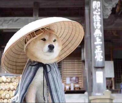 还不错，穿着很舒服，就是不聚拢，我喜欢薄罩杯的，会回购。 100字，100字啊。吃葡萄不吐葡萄皮不吃葡萄倒吐葡萄皮，吃葡萄不吐葡萄皮不吃葡萄倒吐葡萄皮，吃葡萄不吐葡萄皮不吃葡萄倒吐葡萄皮，吃葡萄不吐葡萄皮不吃葡萄倒吐葡萄皮，吃葡萄不吐葡萄皮不吃葡萄倒吐葡萄皮。吃葡萄不吐葡萄皮不吃葡萄倒吐葡萄皮，吃葡萄不吐葡萄皮不吃葡萄倒吐葡萄皮，吃葡萄不吐葡萄皮不吃葡萄倒吐葡萄皮，吃葡萄不吐葡萄皮不吃葡萄倒吐葡萄皮，吃葡萄不吐葡萄皮不吃葡萄倒吐葡萄皮。吃葡萄不吐葡萄皮不吃葡萄倒吐葡萄皮，吃葡萄不吐葡萄皮不吃葡萄倒吐葡萄皮，吃葡萄不吐葡萄皮不吃葡萄倒吐葡萄皮，吃葡萄不吐葡萄皮不吃葡萄倒吐葡萄皮，吃葡萄不吐葡萄皮不吃葡萄倒吐葡萄皮。