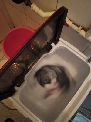 tco洗衣机用着怎么样,口碑,tco洗衣机怎么样,认真看完这文章,恍然大悟