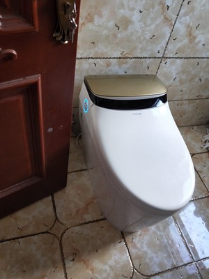 如何评价法恩莎智能马桶怎么样，好不好用？法恩莎马桶容易堵吗？