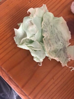 一片狼籍，还好都脱干净了，狠满意