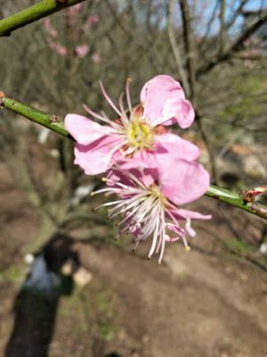 满意满意满意满意满意满意满意满意满意满意满意满意满意满意满意满意满意满意满意满意满意满满意满意满意满意满意满意满意满意满意满意满意满意意满意满意满意满意满意满意满意满意满意满意满意满意满满意满意满意满意满意满意满意满意满意满意满意满意意满意 满意满意满意满意满意满意满意满意满意满意满意满意满意满意满意满意满意满意满意满意满意满满意满意满意满意满意满意满意满意满意满意满意满意意满意满意满意满意满意满意满意满意满意满意满意满意满满意满意满意满意满意满意满意满意满意满意满意满意意满意