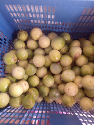 此用户没有填写评价。