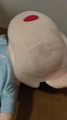 很好质量不错。物流超级快