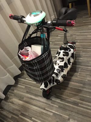 体验raldey电动车怎么样,这个是什么牌子?电池续航能力好吗?