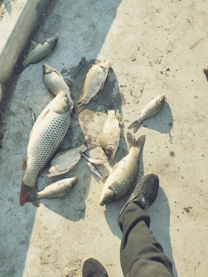 让保罗钓竿口碑行吗,质量怎么样,让保罗钓竿怎么样,让保罗质量真的很好吗?