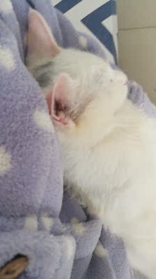 一加老粉，每年都买，从没失望过。