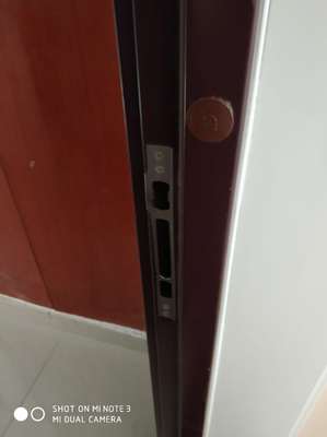 吐槽门锁用MARIE玛丽智能指纹锁怎么样,安全吗,是德国牌子吗?