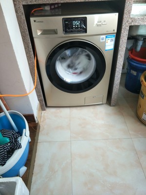 小天鹅洗衣机怎么样,看过再选,小天鹅洗衣机怎么样,认真看完再选择,不后悔!