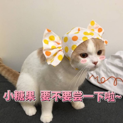 淘宝几年才知道原来评论85个字才会有积分。所以从今天到以后，这段话走到哪里就会复制到哪里。首先要保证质量啊，东西不赖啊。不然就用别的话来评论了。不知道这样子够不够85字。谢谢老板的认真检查。东西特别好，我不是刷评论的，我是觉得东西好我才买的，你会发现我每一家都是这么写的。因为复制一下就好了。