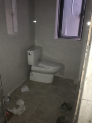 目前看来toto马桶怎么样,toto虹吸马桶好用吗?价格为什么那么贵?