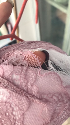 挺聚拢的这内衣，但是洗的时候一下蕾丝边就滑下来了