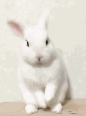 内衣基本上都是这个牌子，本人是平胸的瘦子，个人觉得还是有点空杯，内衣最好还是去店里试过会比较合身，因为缺一件肤色的还是留下了。