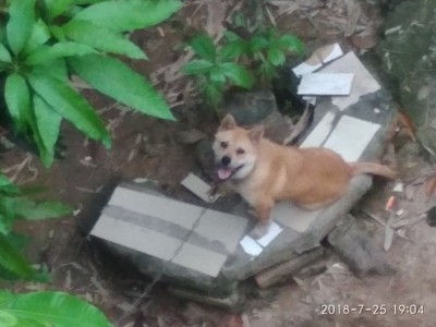 解说正港手表怎么样，真相如何,看过才知