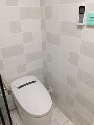 求助!德希顿智能马桶怎么样,属于什么档次,哪生产的,值得买吗