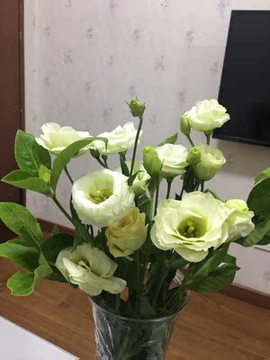 此用户没有填写评价。