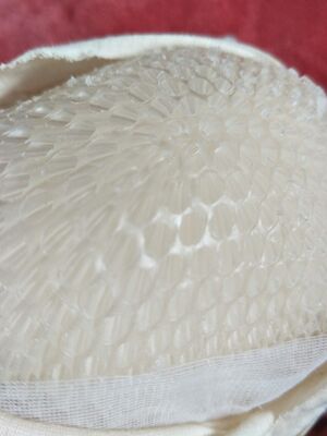 新的到了就把旧的剪开看了下，都是透气孔，这也是又买这种文胸的原因，常洗不变形，夏天穿也不闷