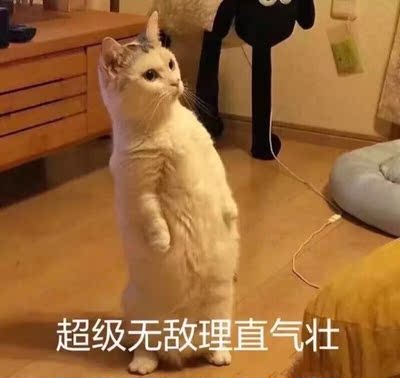 抱抱抱抱抱抱抱抱抱抱抱抱抱抱抱抱抱抱抱抱亲亲啊啊啊啊啊啊啊啊啊啊啊啊啊啊点吃饭让我去几次看奇瓦瓦州许多反反复复的大大方方地方啊啊啊啊啊啊啊啊啊啊啊啊啊啊啊带我去亲吻到佛地截击机哦啊生生世世生生世世随时随地都是大展身手生生世世生生世世啊徐称得上是滴滴答答滴滴答答滴滴答答滴滴答答的的地方给广告费 v 抱抱抱抱抱抱吧佳姐的我去拍拍拍拍拍拍拍拍对对九九九级叫爱爱爱爱爱爱爱爱爱克里斯蒂 抱抱抱抱抱抱抱抱抱抱抱抱抱抱抱抱抱抱抱抱亲亲啊啊啊啊啊啊啊啊啊啊啊啊啊啊点吃饭让我去几次看奇瓦瓦州许多反反复复的大大方方地方啊啊啊啊啊啊啊啊啊啊啊啊啊啊啊带我去亲吻到佛地截击机哦啊生生世世生生世世随时随地都是大展身手生生世世生生世世啊徐称得上是滴滴答答滴滴答答滴滴答答滴滴答答的的地方给广告费 v 抱抱抱抱抱抱吧佳姐的我去拍拍拍拍拍拍拍拍对对九九九级叫爱爱爱爱爱爱爱爱爱克里斯蒂