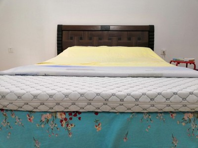 【揭秘】金橡树乳胶床垫怎么样，是不是真的是天然乳胶？哪产的？