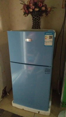 新飞冰箱小型家用双开门宿舍办公室冷藏冷冻租房小冰箱节能特价