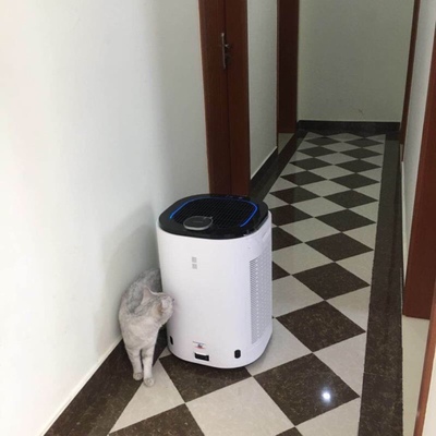 说说点评科沃斯AA30和dj35扫地机器人那个好，优缺点区别是啥，哪款更受用户青睐