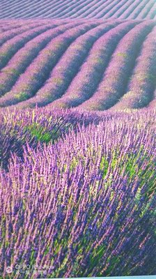包裹性很好，穿起来很舒服，颜色很正，如果喜欢就赶紧下手吧，虽然没有钢圈但是包裹性真的很好的，推荐大家购买