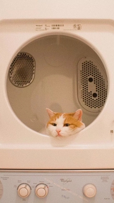 很舒服哟很舒服呦很舒服哟很舒服哟很舒服哟很舒服呦很舒服呦很舒服哟很舒服呦很舒服哟很舒服呦很舒服哟很舒服哟很舒服哟很舒服呦很舒服呦很舒服哟很舒服呦很舒服哟很舒服呦很舒服哟很舒服哟很舒服哟很舒服呦很舒服呦很舒服哟很舒服呦很舒服哟很舒服呦很舒服哟很舒服哟很舒服哟很舒服呦很舒服呦很舒服哟很舒服呦 很舒服哟很舒服呦很舒服哟很舒服哟很舒服哟很舒服呦很舒服呦很舒服哟很舒服呦很舒服哟很舒服呦很舒服哟很舒服哟很舒服哟很舒服呦很舒服呦很舒服哟很舒服呦很舒服哟很舒服呦很舒服哟很舒服哟很舒服哟很舒服呦很舒服呦很舒服哟很舒服呦很舒服哟很舒服呦很舒服哟很舒服哟很舒服哟很舒服呦很舒服呦很舒服哟很舒服呦