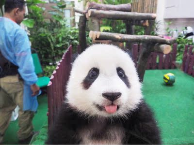 质量很好 质量很好