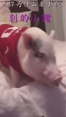 终于收到我需要的宝贝了，东西很好，价美物廉，谢谢掌柜的！说实在，这是我淘宝购物来让我最满意的一次购物。无论是掌柜的态度还是对物品，我都非常满意的。掌柜态度很专业热情，有问必答，回复也很快，我问了不少问题，他都不觉得烦，都会认真回答我，这点我向掌柜表示由衷的敬意，这样的好掌柜可不多。再说宝贝，正是我需要的，收到的时候包装完整，打开后让我惊喜的是，宝贝比我想象中的还要好！不得不得竖起大拇指。下次需要的时候我还会再来的。