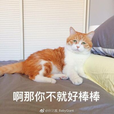 喜欢啊啊啊啊啊啊啊啊啊啊啊啊啊啊啊啊啊啊啊啊啊啊啊啊啊啊啊啊啊啊啊啊啊啊啊啊啊啊啊啊啊啊啊啊啊啊啊啊啊啊啊啊啊啊啊啊啊啊啊啊啊啊啊啊啊啊啊啊啊啊啊啊啊啊啊啊啊啊啊啊啊啊啊啊啊啊啊啊啊啊啊啊啊啊啊啊啊啊啊啊啊啊啊啊啊啊啊啊啊啊啊啊啊啊啊啊啊啊啊啊啊啊啊啊啊啊啊啊啊啊啊啊啊啊啊啊啊啊啊啊啊啊啊啊啊啊啊啊啊啊啊啊啊啊啊啊啊啊啊啊啊啊啊啊啊啊啊啊啊啊啊啊啊啊啊啊啊啊啊啊啊啊啊啊啊啊啊啊啊 喜欢啊啊啊啊啊啊啊啊啊啊啊啊啊啊啊啊啊啊啊啊啊啊啊啊啊啊啊啊啊啊啊啊啊啊啊啊啊啊啊啊啊啊啊啊啊啊啊啊啊啊啊啊啊啊啊啊啊啊啊啊啊啊啊啊啊啊啊啊啊啊啊啊啊啊啊啊啊啊啊啊啊啊啊啊啊啊啊啊啊啊啊啊啊啊啊啊啊啊啊啊啊啊啊啊啊啊啊啊啊啊啊啊啊啊啊啊啊啊啊啊啊啊啊啊啊啊啊啊啊啊啊啊啊啊啊啊啊啊啊啊啊啊啊啊啊啊啊啊啊啊啊啊啊啊啊啊啊啊啊啊啊啊啊啊啊啊啊啊啊啊啊啊啊啊啊啊啊啊啊啊啊啊啊啊啊啊啊啊啊