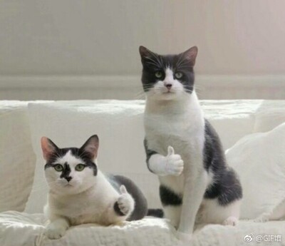 穿上真的很舒服，比较性感的，还担心会漏凹点，买了乳贴，收到试穿完全没有，挺好的好评