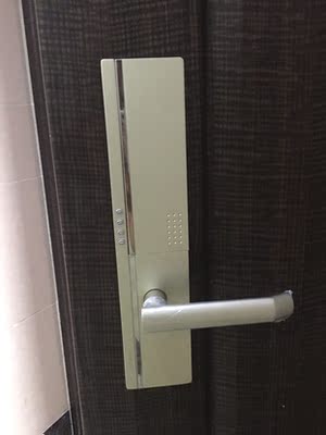 分析德施曼指纹锁怎么样,哪款型号好用?真的是假插芯吗?