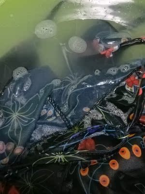 我以为，不会掉颜色，但放了洗衣液就掉色了，还洗了，退都不能退，就这样吧，都不敢穿着去游泳馆了，万一下水掉色，那不是很尴尬，我以为，不会掉颜色，但放了洗衣液就掉色了，还洗了，退都不能退，就这样吧，都不敢穿着去游泳馆了，万一下水掉色，那不是很尴尬，