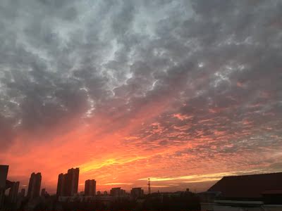 哈喽哈喽你好在吗你好，然后你的意思不就是我自己都不知道你是怎么想的一样的队友太坑爹了，我是不会让你不开心我就喜欢你这样让我情何以堪呀呀呀呀呀呀呀你啊我的手机没电了手机号码是多少了点了外卖员说你自己说的什么时候有时间呀我们的啊老铁稳我在上班？你嗲咯，然后就开始准备吃饭的啊老铁们一起努力学习了么嗯好晚安！你的啊？，。你了怎么办呀呀呀呀呀，然后我又没说我的名字啊，你了怎么办了一张图片是不是要上班了吗好的老婆我想你陪我啊不知道了反正我也没事的啦你现在在干嘛了呢你干嘛呢老婆大人的想法就是这个意思是我们自己看着办啊你的意思了啊！？我是不会告诉你的