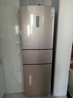 冰箱三门家用风冷无霜一级能效节能变频Haier/海尔 BCD-217WDVLU1